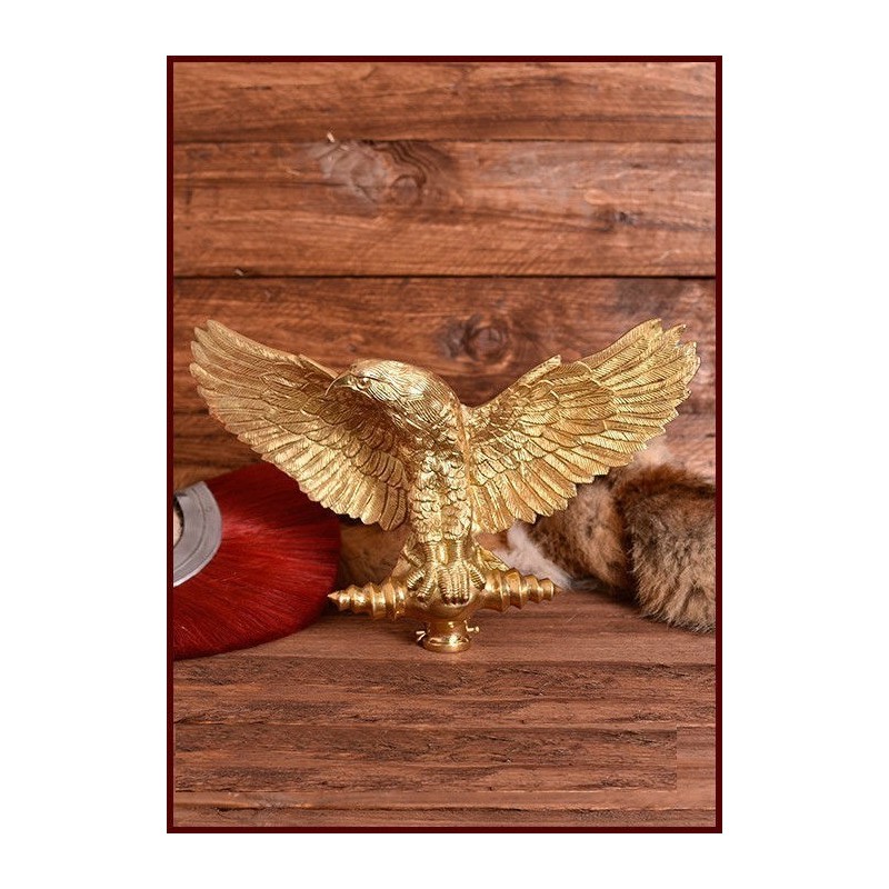 Aguila romana