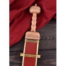 Gladius tipo Pompeii V