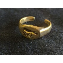 Anillo Itálica