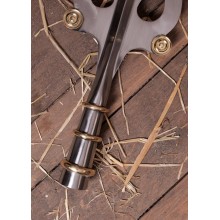 Lanza de beneficiarius