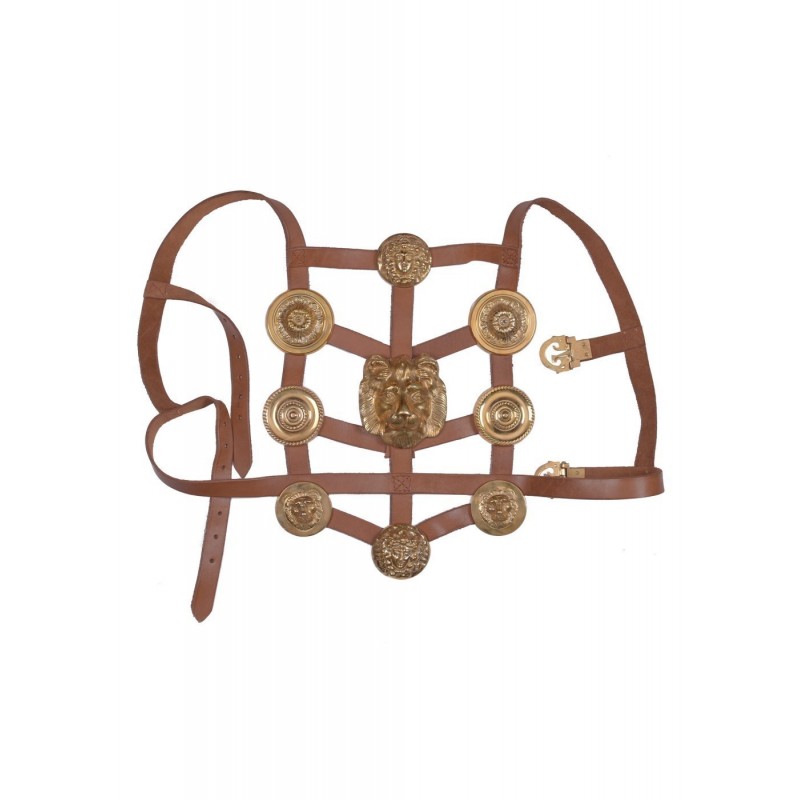 Arnés de faleras dorado